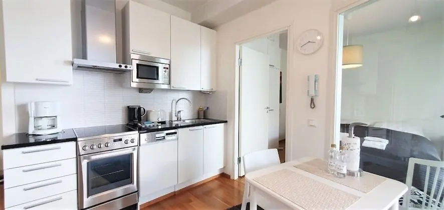 Apart Daire, 1 Yatak Odası, Sauna (City Center Area)