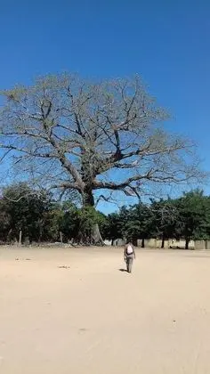 Ev, Birden Çok Yatak