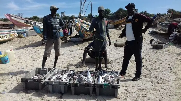 Ev, Birden Çok Yatak