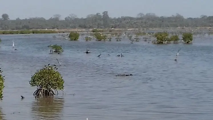 Ev, Birden Çok Yatak