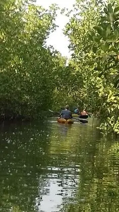 Ev, Birden Çok Yatak