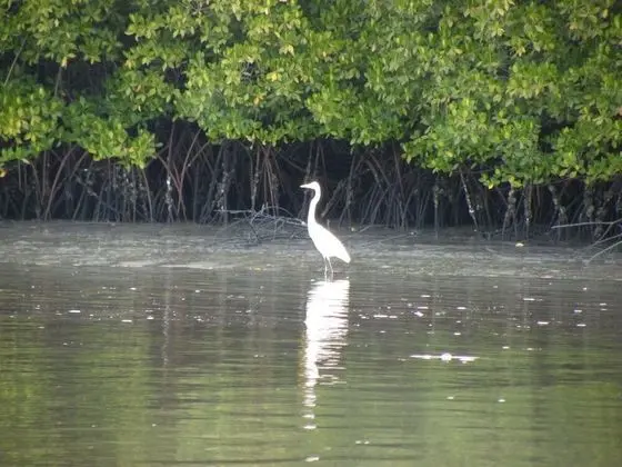 Ev, Birden Çok Yatak
