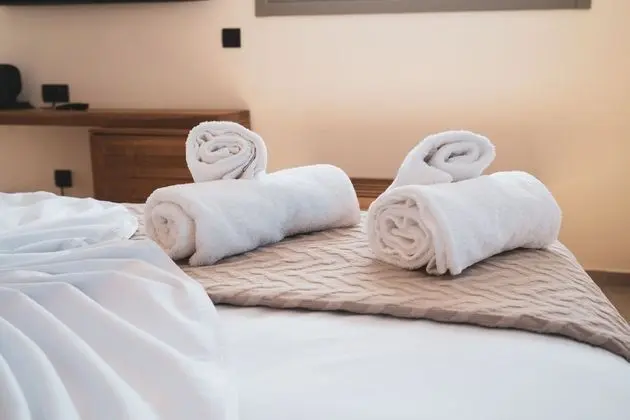 Deluxe Room, Sea view with private pool