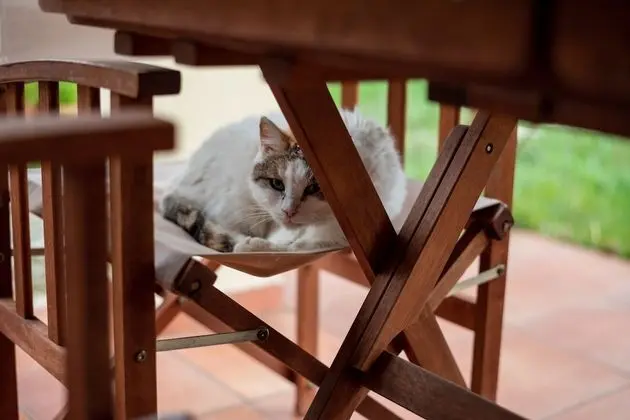 Apart Daire, Bahçe Manzaralı, Zemin Kat
