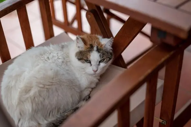 Apart Daire, Bahçe Manzaralı, Zemin Kat