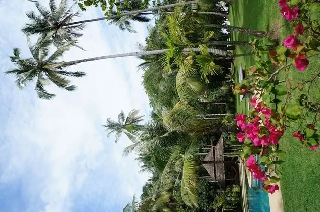Beach Suite
