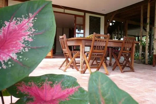 Kulübe (Rice Field Cottage)