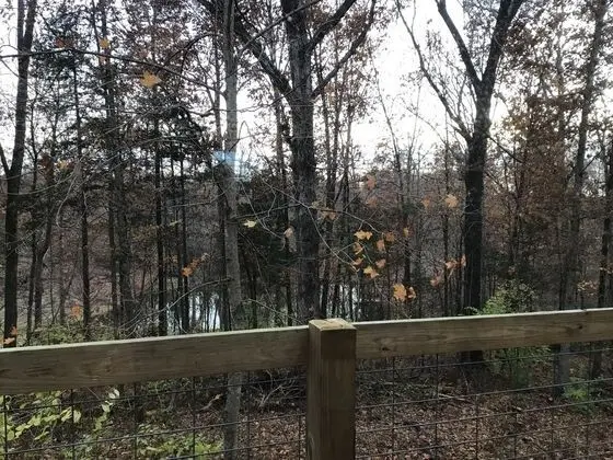 Traditional Kulübe, 3 Yatak Odası, Sigara İçilmez