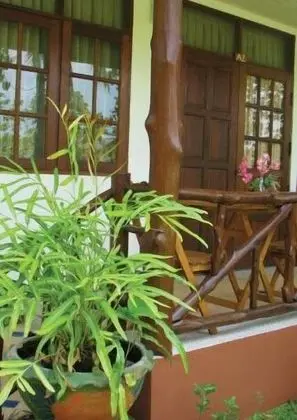 Deluxe Bungalov