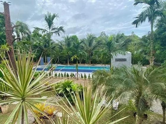 Odadan manzara