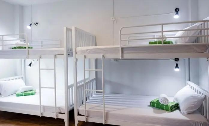 Dört Kişilik Oda, Özel Banyo (Pitta Nest 6 Bed)