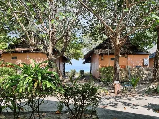 Standard Bungalov