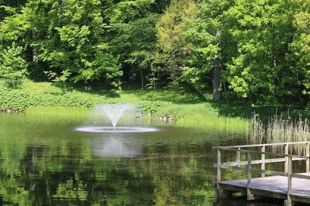 Superior Tek Büyük Yataklı Oda, 1 Çift Kişilik Yatak, Özel Banyo