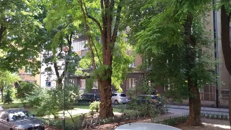 Luxury Stüdyo (Jacuzzi)