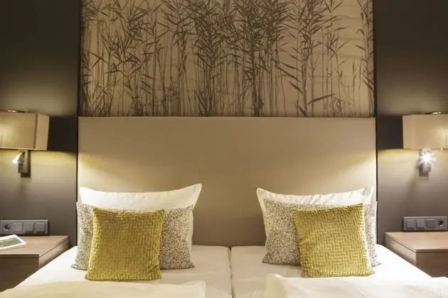 Superior Tek Büyük Yataklı Oda