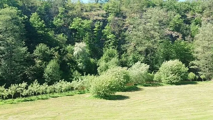 Economy İki Ayrı Yataklı Oda