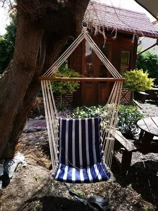 Comfort Tek Kişilik Oda, Avlu