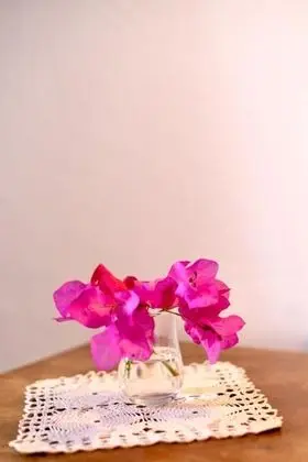 Deluxe Oda Üst Kat, Sokak Manzaralı, Ortak Teraslı