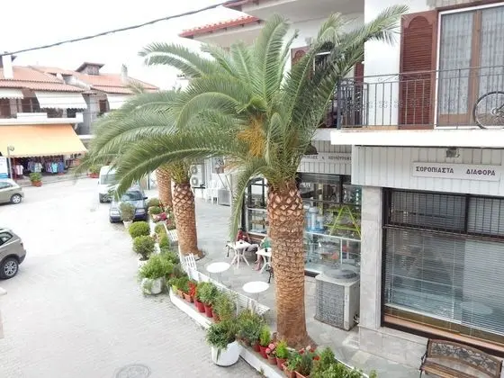 Design Stüdyo