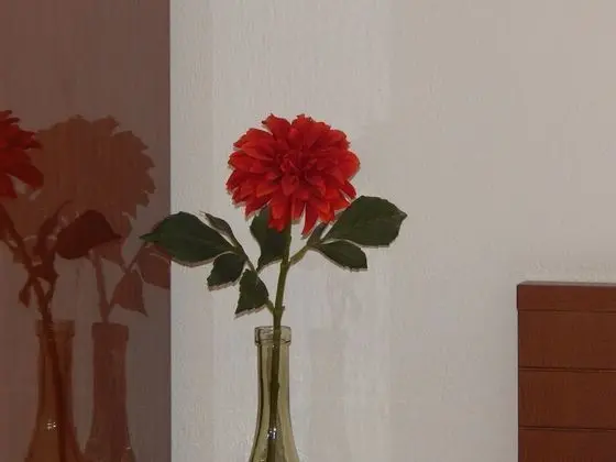 Economy Stüdyo, 1 Çift Kişilik Yatak