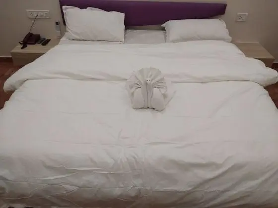 Deluxe Tek Büyük Yataklı Oda (AC)