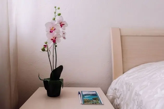 Standard Oda, 1 Çift Kişilik Yatak, Sigara İçilmez, Şehir Manzaralı