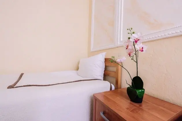 Superior İki Ayrı Yataklı Oda, 2 Tek Kişilik Yatak, Sigara İçilmez, Şehir Manzaralı
