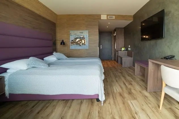 Superior Tek Büyük Yataklı Oda, Göl Manzaralı