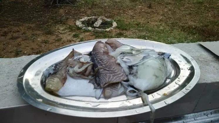 Apart Daire, Birden Çok Yatak