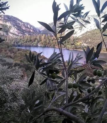 Apart Daire, Birden Çok Yatak