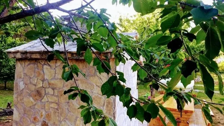 Apart Daire, Birden Çok Yatak