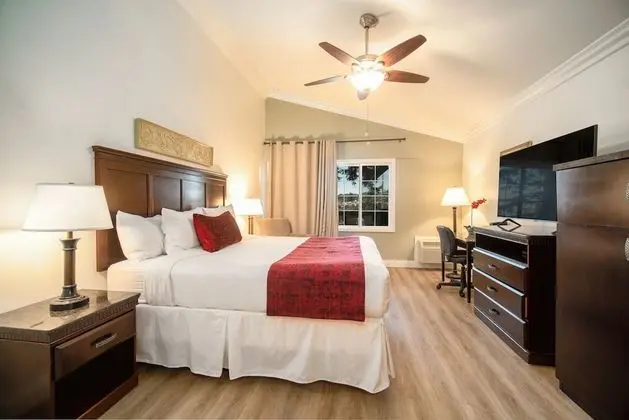 Jacuzzi Suite King Bed Room
