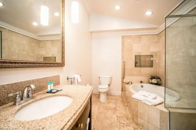 Jacuzzi Suite King Bed Room