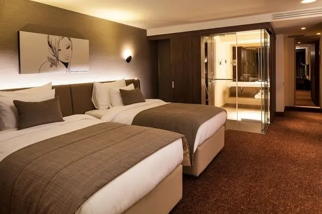 Executive Tek Büyük veya İki Ayrı Yataklı Oda