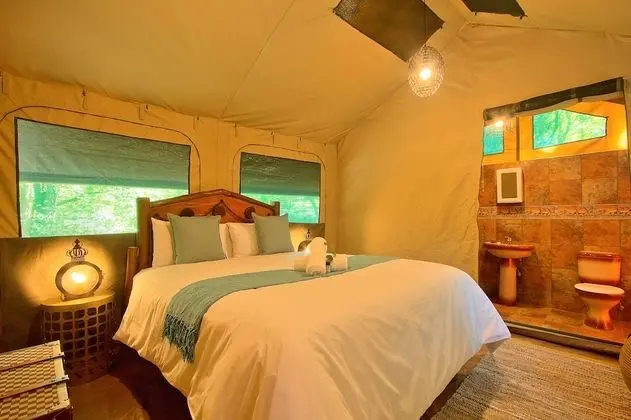 Safari Tent Room