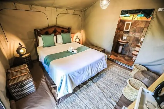 Safari Tent Room