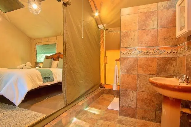 Safari Tent Room
