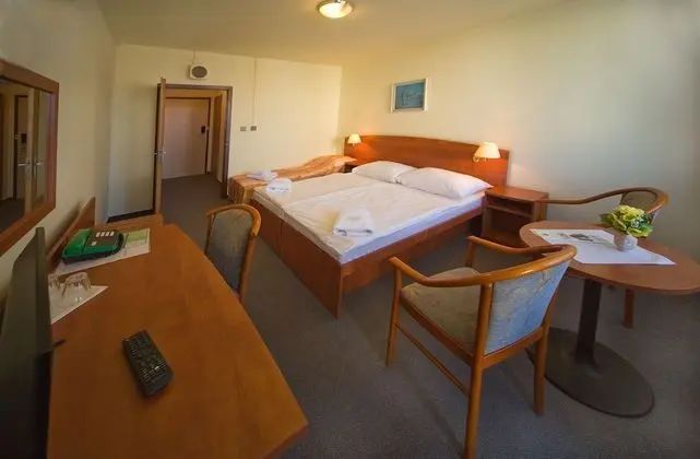 Standard Tek Büyük veya İki Ayrı Yataklı Oda, Balkon, Şehir Manzaralı