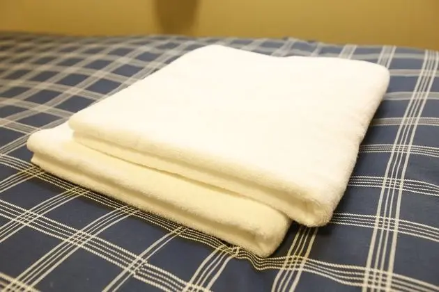 Traditional Oda, Sigara İçilmez, Ortak Banyo (Japanese-Style, 3 Person Occupancy)