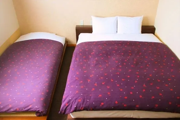 Deluxe Tek Büyük Yataklı Oda (with Private Bathroom)