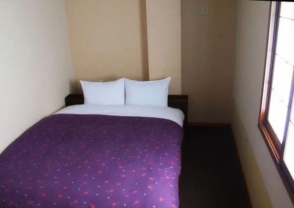 Tek Büyük Yataklı Oda (with Private Bathroom)