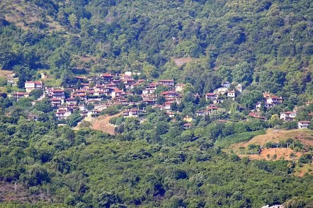 Junior Tek Büyük Yataklı Oda, 1 Yatak Odası, Teras, Kısmi Deniz Manzaralı
