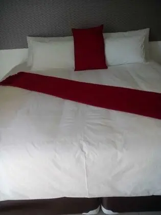 Comfort Oda, 1 En Büyük (King) Boy Yatak, Bahçe Manzaralı