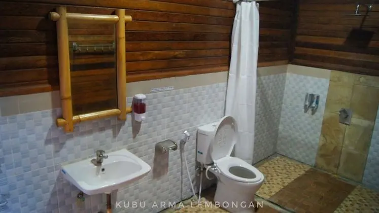 Superior Tek Büyük Yataklı Oda, 1 En Büyük (King) Boy Yatak, Havuz Manzaralı