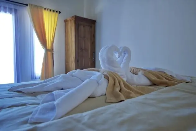 Deluxe Tek Büyük veya İki Ayrı Yataklı Oda