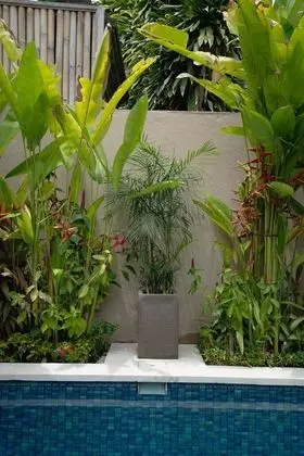 Deluxe Villa, 2 Yatak Odası, Kişiye Özel Havuzlu