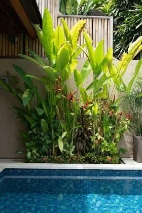 Deluxe Villa, 2 Yatak Odası, Kişiye Özel Havuzlu