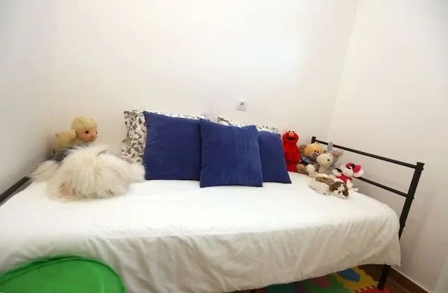 Apart Daire (Duplex)