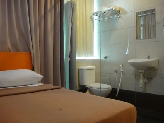 Deluxe Oda, 1 Yatak Odası, Şehir Manzaralı