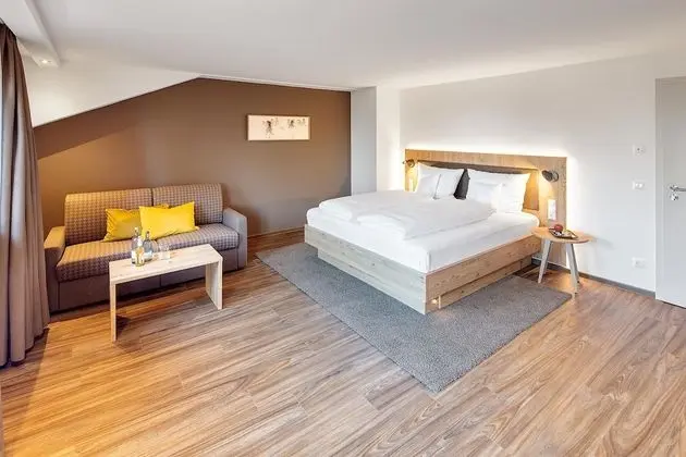 Premium Tek Büyük Yataklı Oda (Kiefer)